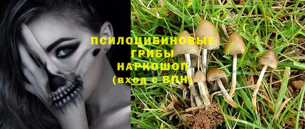 твердый Балахна