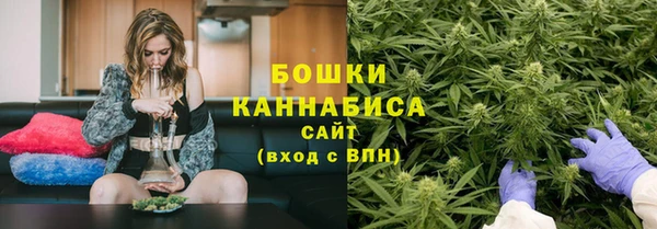 трава Арсеньев
