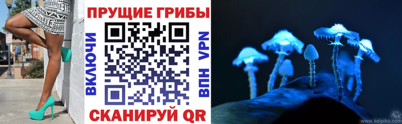 купить  цена  Омутнинск  Псилоцибиновые грибы Psilocybine cubensis 